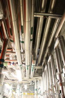 Pel&iacute;la Vulnerables